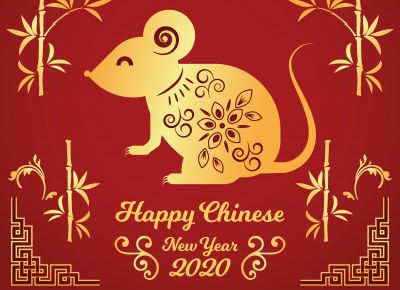 Holiday Anouncement of 2020 Chinese Spring Festival